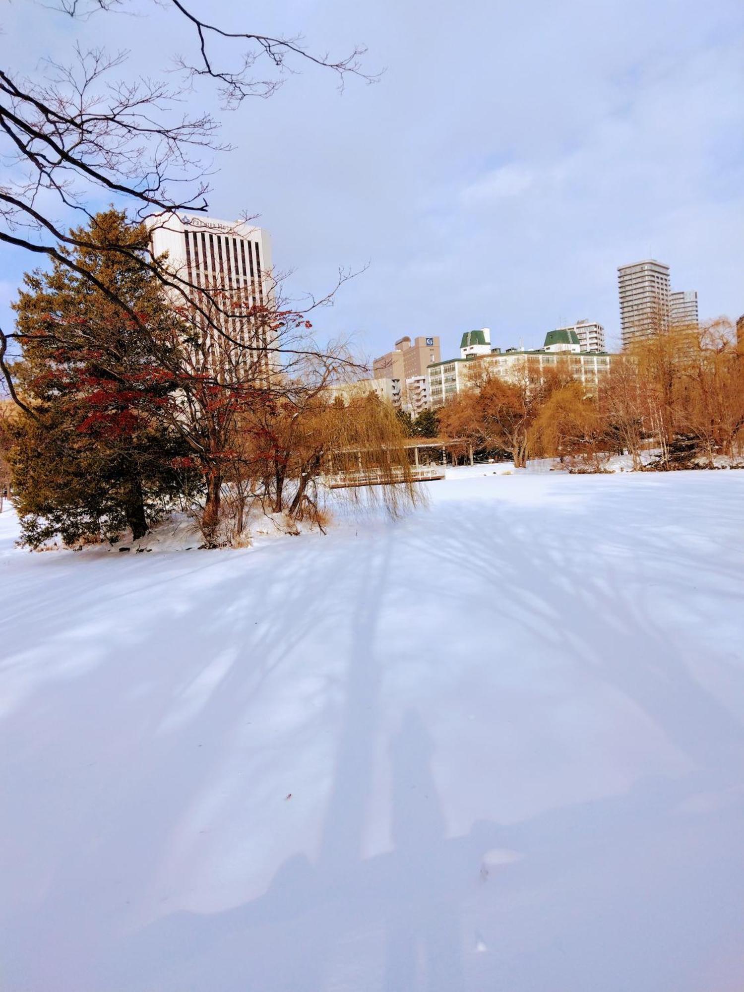 Appartamento Aup178 Sapporo Esterno foto