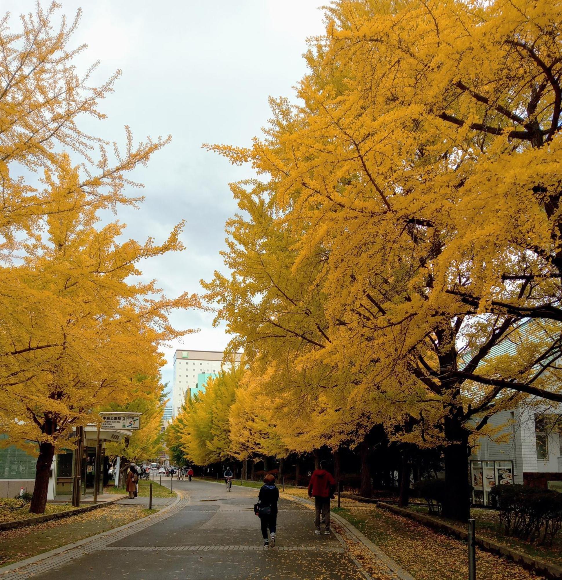 Appartamento Aup178 Sapporo Esterno foto